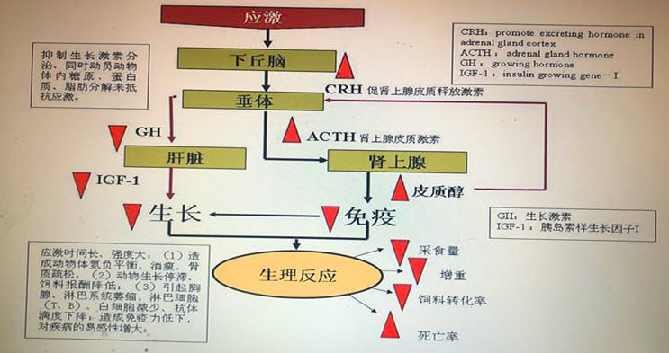 18，軟文圖片中.jpg