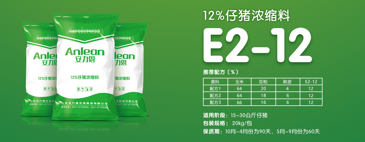 e2-12 - 副本.jpg